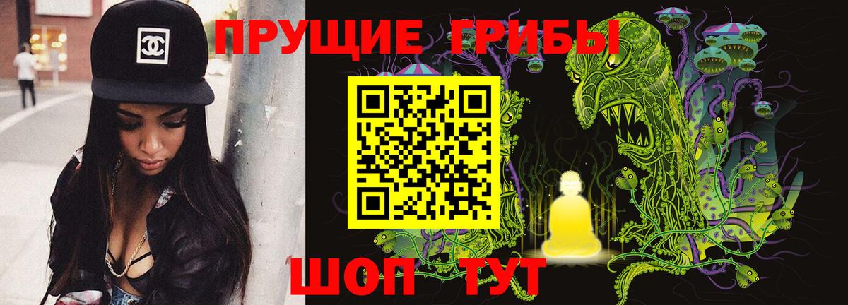 Галлюциногенные грибы Psilocybe Санкт-Петербург